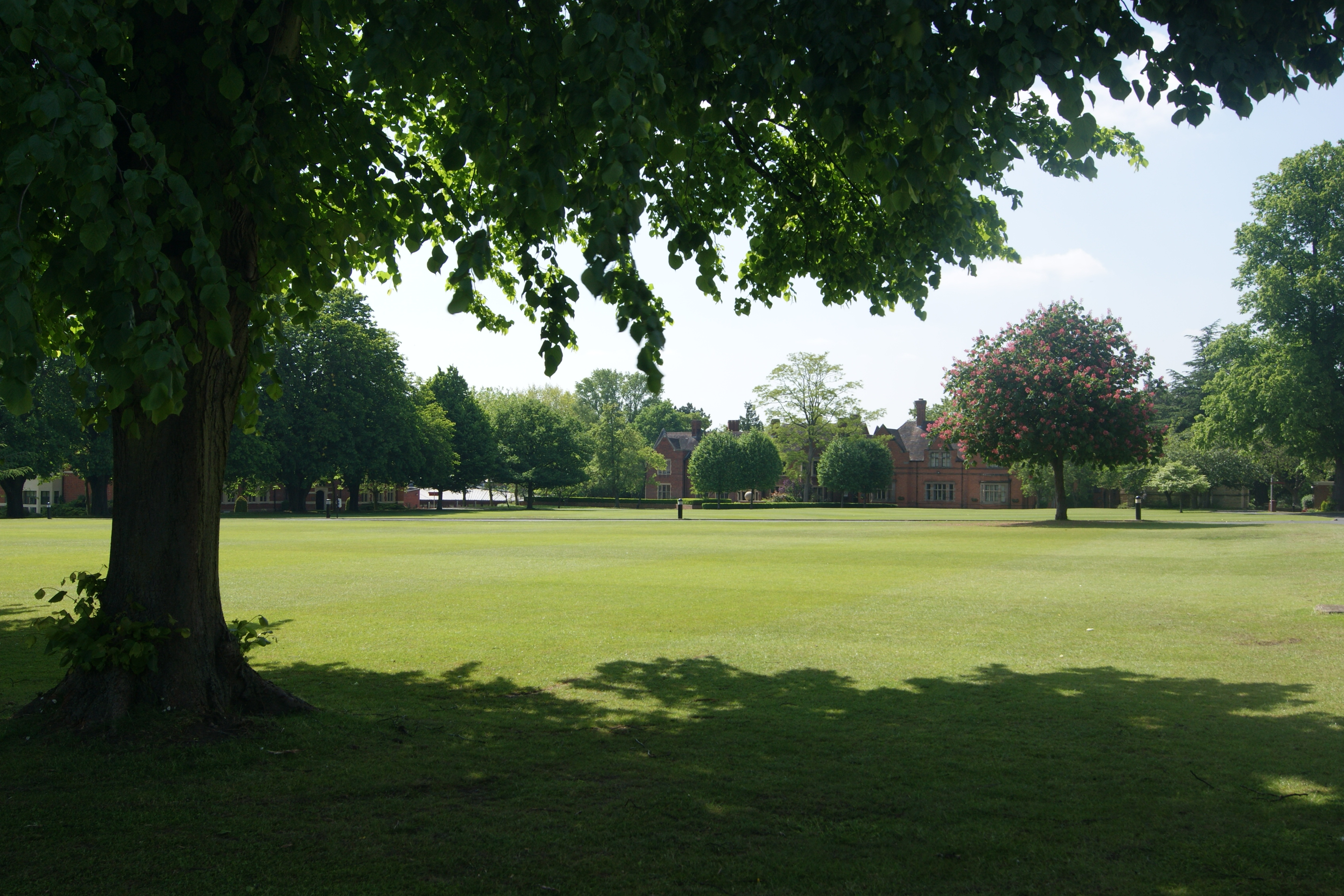 The view across Gordon Green towards the Administration building